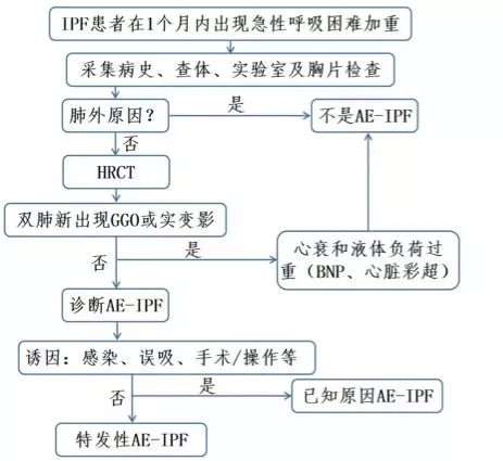 鐘南山-肺-肺康復-特發(fā)性肺纖維化-肺炎-間質(zhì)性肺炎-間質(zhì)性肺纖維化-IPF-AE-IPF-HRCT-GGO