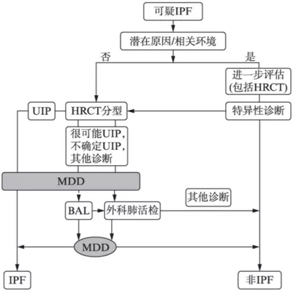 鐘南山-肺-肺康復-特發(fā)性肺纖維化-肺炎-間質(zhì)性肺炎-間質(zhì)性肺纖維化-IPF-AE-IPF-HRCT-GGO